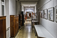 DSF0372