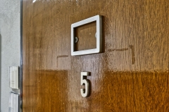 DSF0379