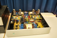 DSF0392