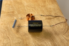 DSF0410