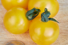 Frucht_gelb_3