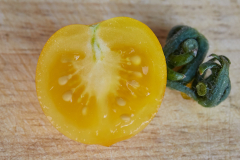 Frucht_gelb_halb_3