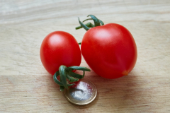 Frucht_rot_4