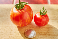 Frucht_rot_5